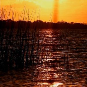 Meet your Posher, George